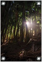 Tuinposter –Tropisch  Bos– 60x90cm Foto op Tuinposter (wanddecoratie voor buiten en binnen)