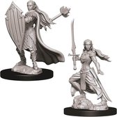 Dungeons and Dragons Nolzur's Marvelous Miniatures:  Elf Paladin, female