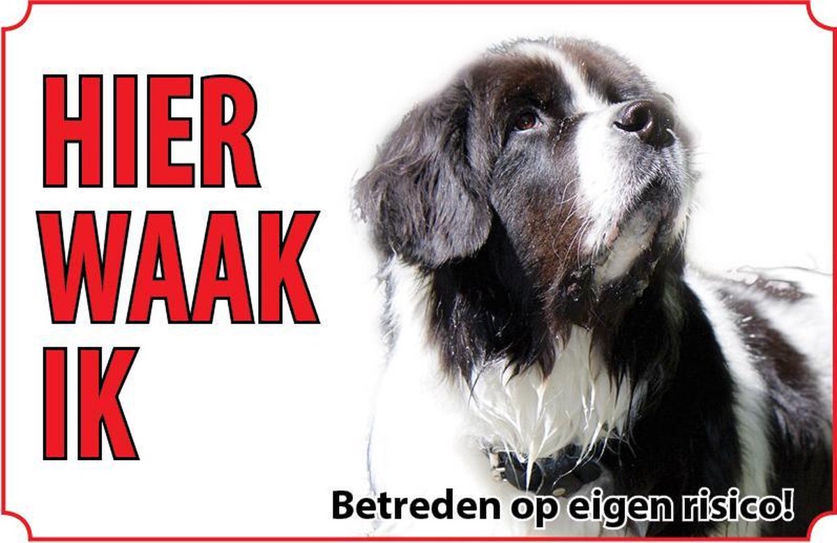 Bord Hond Landseer E.C.T.