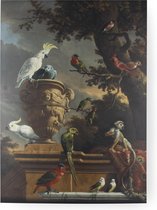 Schilderij - Art For The Home De Menagerie - Multicolor - 70 X 100 Cm Art For The Home - Canvas - De Menagerie - 70x100 Cm