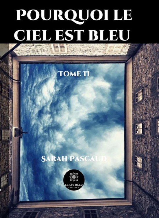 Pourquoi le ciel est bleu 2 Pourquoi le ciel est bleu Tome 2 (ebook), Sarah... bol