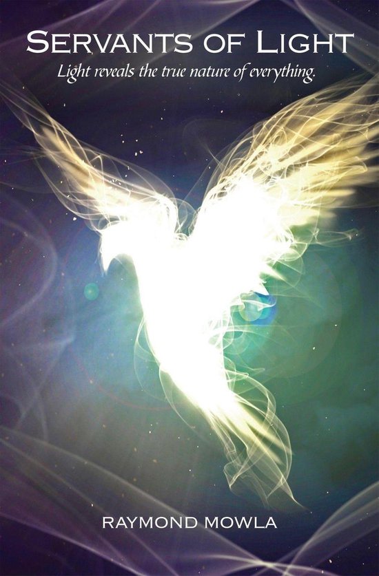 Servants of Light (ebook), Raymond Mowla 9781460009406 Boeken