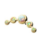 14 Karaat Gouden Threadless Oor Piercing  - 5-Bezel Set Cluster