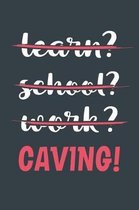 Learn? School? Work? Caving!