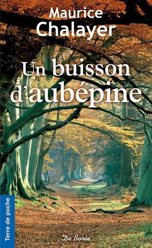 Terre de poche - Un buisson d'aubépine