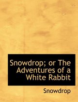 Snowdrop; Or the Adventures of a White Rabbit