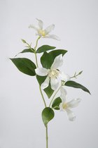 Clematis - zijden bloem - wit - topkwaliteit - 61cm