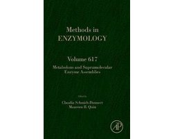 Metabolons and Supramolecular Enzyme Assemblies