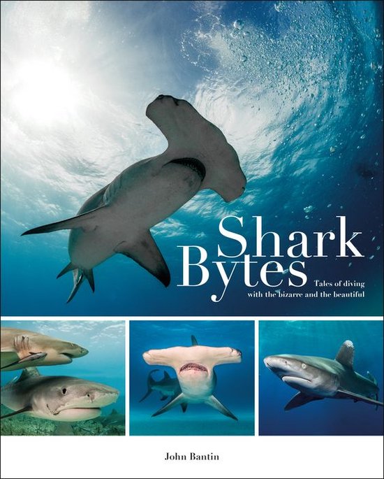 Shark Bytes - cover