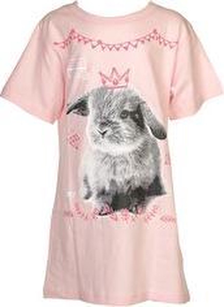 Fun2Wear Bigshirt Rabbit maat 104/110