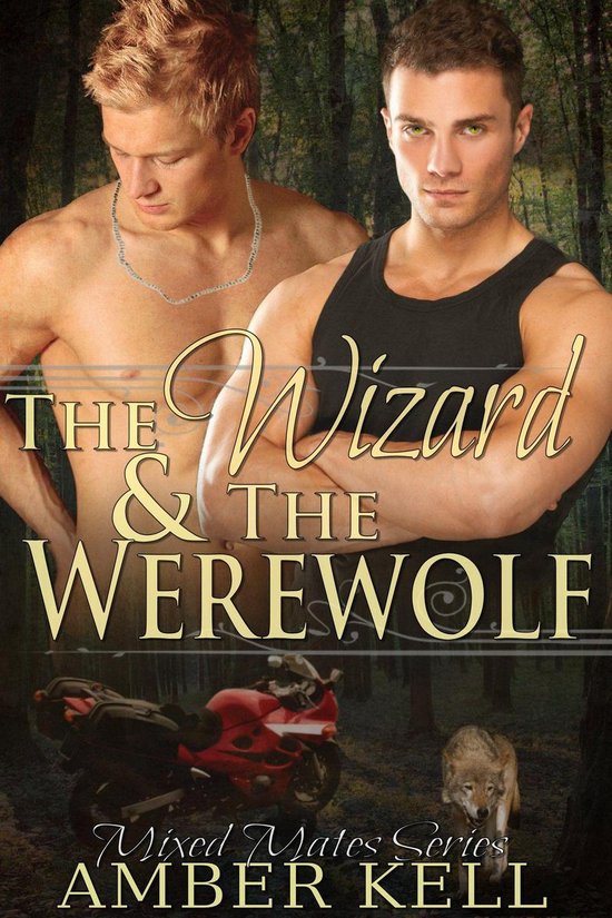 Mixed Mates Series 1 - The Wizard and The Werewolf - cover