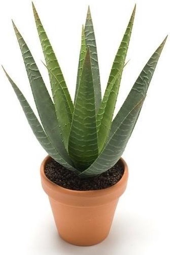 Centre De Table Avec 3 Aloe Vera Artificielles – Hauteur 17 Cm – Pot En MDF Et Pierres Naturelles – Décoration Intérieure Verte - 3