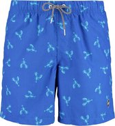 Shiwi swim shorts lobster - deep sky blue - 176