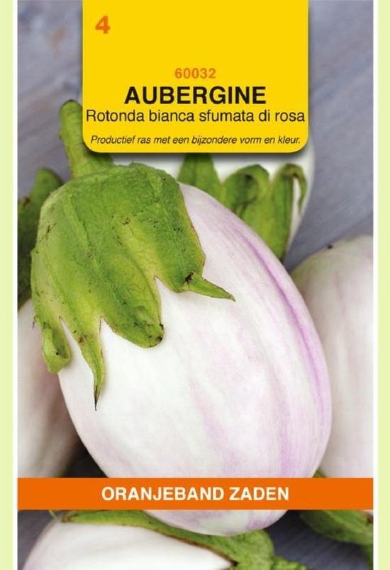 Aubergine Rotonda bianca sfumata di rosa