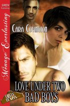 The Lusty, Texas Collection - Love Under Two Bad Boys