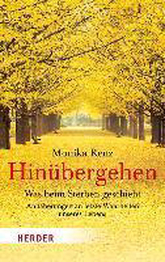 Hinübergehen - cover