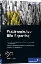 Praxisworkshop BEx-Reporting