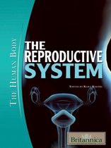 The Reproductive System