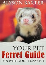 Your Pet Ferret Guide