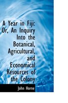 A Year in Fiji