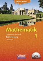 Mathematik Sekundarstufe II. Bd. 1: Gesamtband. Grundkurs. Qualifikationsphase. Brandenburg