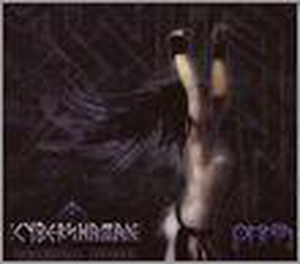 Cybershaman