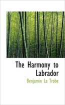 The Harmony to Labrador