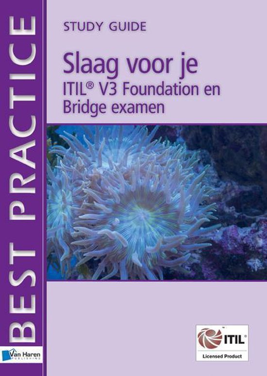 Cover van het boek 'Slaag voor je ITIL V3 Foundation en Bridge examen' van Erna Kollenburg