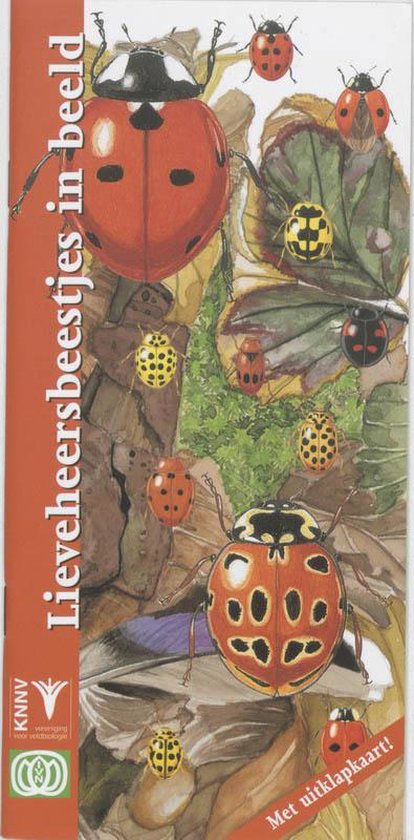 Cover van het boek 'Lieveheersbeestjes in beeld' van Frank Bos