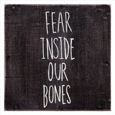 The Almost - Fear Inside Our Bones (CD)