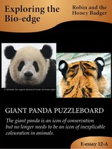 Giant Panda Puzzleboard