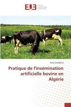 Pratique de Linsemination Artificielle Bovine En Algerie