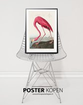 ONLINE POSTER KOPEN - Flamingo A3 formaat