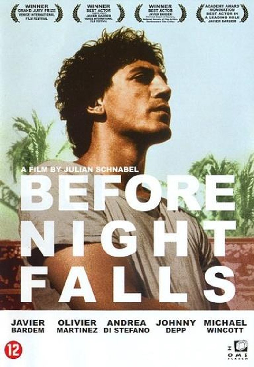 Before Night Falls