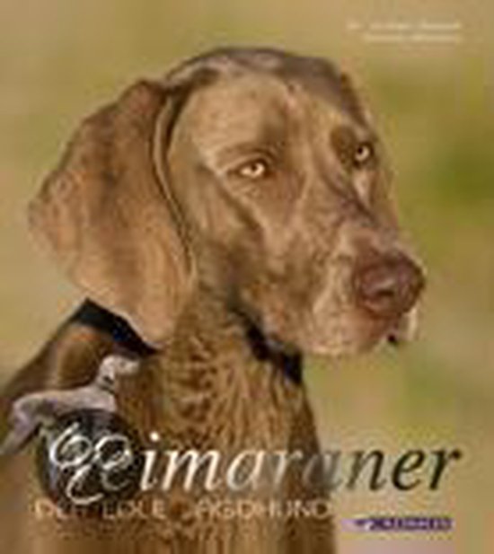 Weimaraner - cover
