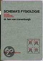 SCHEMA'S FYSIOLOGIE  DR 4