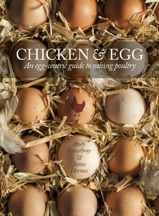 Chicken & Egg - cover