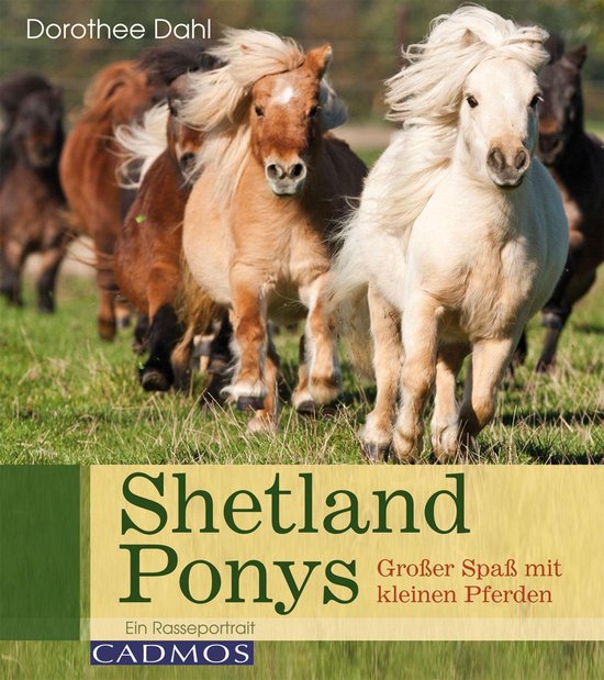 Pferderassen - Shetlandponys - cover