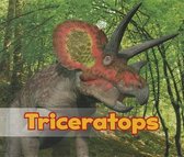 Triceratops