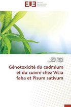 Omn.Univ.Europ.- G�notoxicit� Du Cadmium Et Du Cuivre Chez Vicia Faba Et Pisum Sativum