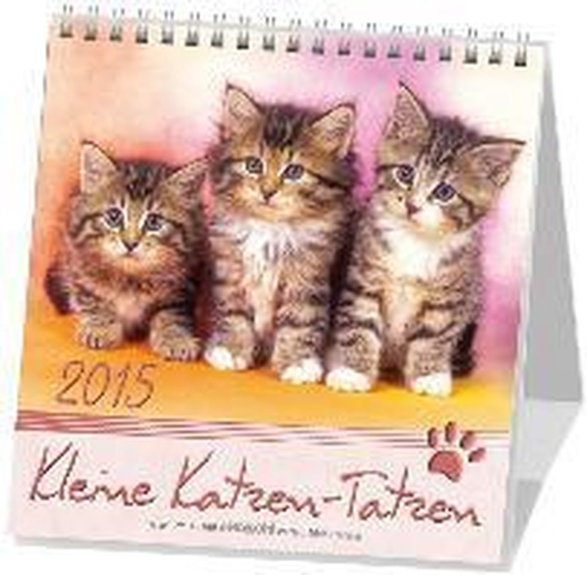 Kleine KatzenTatzen 2021. PostkartenKalender