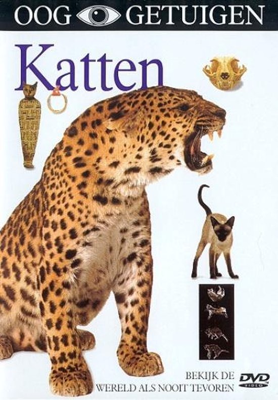 Cover van de film 'Ooggetuigen - Katten'