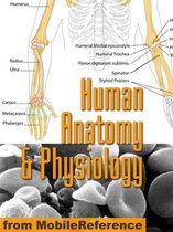 Human Anatomy And Physiology Study Guide (Mobi Medical)