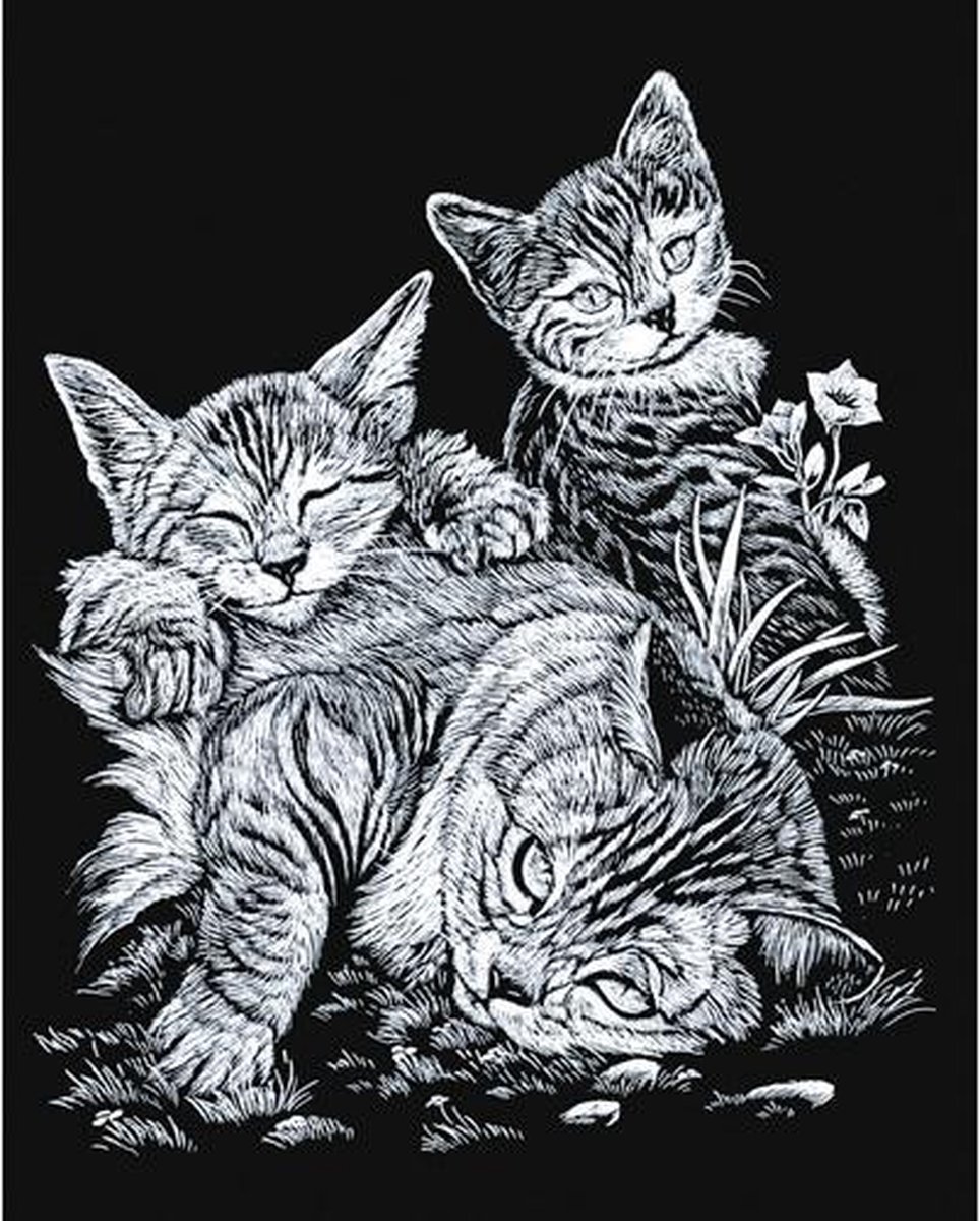Kraskaart 20,3x25,4cm zilver Katten+katjes