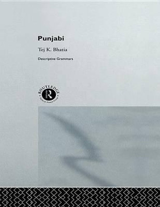 Punjabi (ebook), Tej Bhatia 9781136894602 Boeken