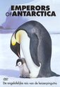 Emperors of Antartica