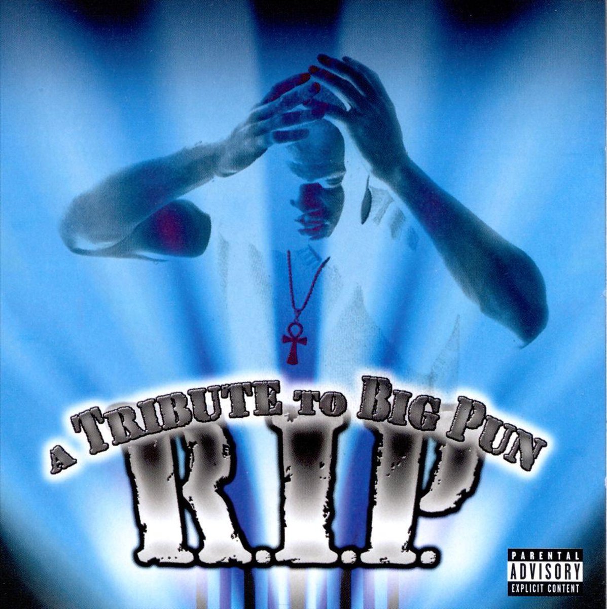 Afbeelding van product R.I.P.: A Tribute to Big Pun  - various artists