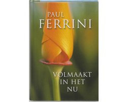 Omslag van Volmaakt In Het Nu