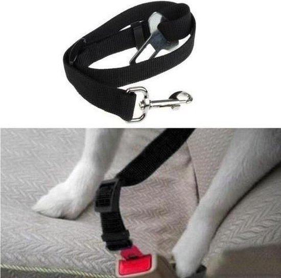 Ceinture De Sécurité Ajustable Pour Chien - Nylon Robuste, Tampon élastique Anti-choc - Pour Voiture, Adaptable à La Taille