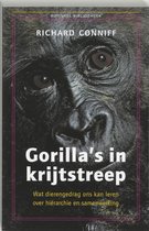 Gorilla's In Krijtstreep